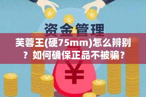 芙蓉王(硬75mm)怎么辨别？如何确保正品不被骗？
